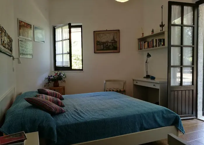 Nella Pineta