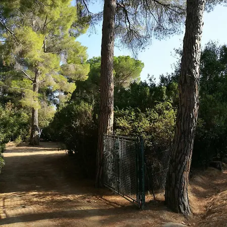 Holiday home Nella Pineta *