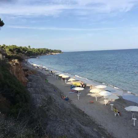 Nella Pineta